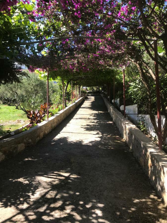 Pánormos Knossos 아파트 호텔 외부 사진